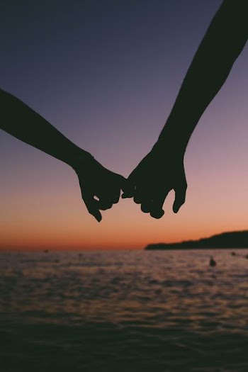 two people picking