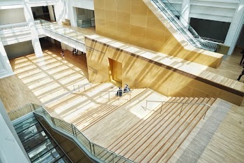 Two People Sitting on Brown Parquet Stairs