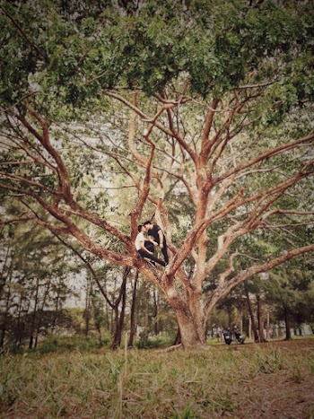 Two People Standing on Tree