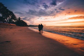 Two People Walking On The Seashore