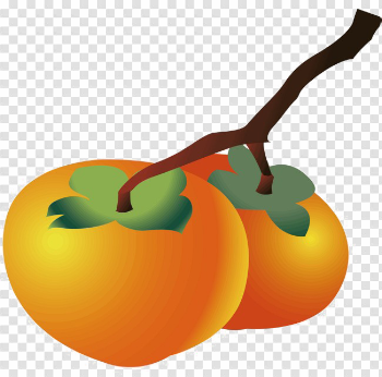 Two Persimmon PNG Transparent Image