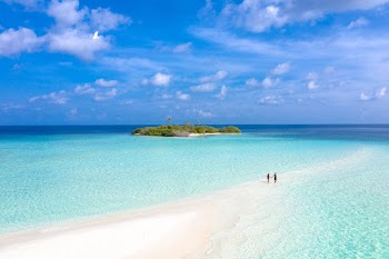Two Person Holding Hands While Walking on the Beach