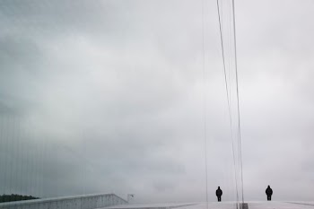two person standing in the middle of road during daytime