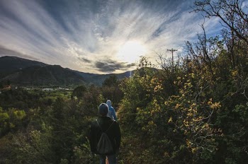 two person surrounded by trees during daytime