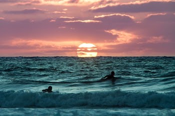 two person swimming on body of water during golden hour