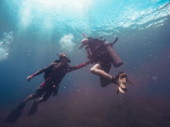 two person swimming underwater