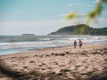 Two Person Walking on Beachside