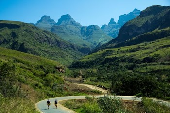 two person walking on concrete road in forest during daytime