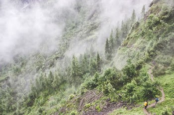 two person walking on hill in forest with fog