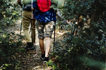 Two Person Walking on Pathway Between Plants