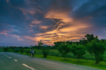 Two Person Walking on Road Beside Grass Field