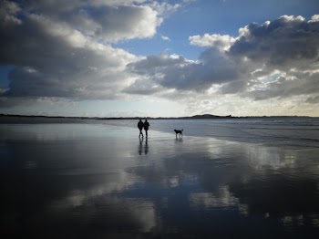 Two Person Walking on Seashore