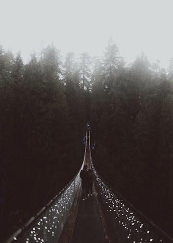 two person walking on suspension bridge taken at foggy morning
