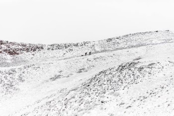 two person walking on the valley