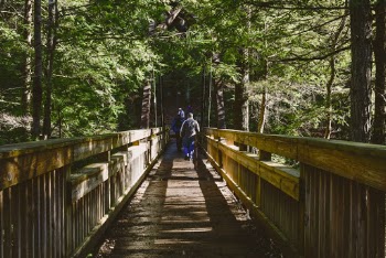 Two Persons Walking at Foot Bridge