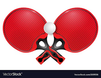 Two professional racket for table tennis vector image