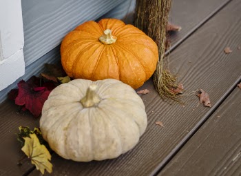Two Pumpkins on Wooden Floor