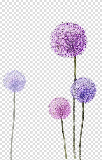 Two purple and pink single-stalk dandelions , OPPO F3 Dandelion, Dandelion background transparent background PNG clipart