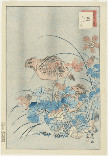 Two Quails in BushOriginal from the Minneapolis | Free Photo - rawpixel