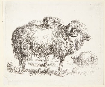 Two rams | Free Photo - rawpixel