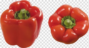 Two red bell peppers , Bell pepper Banana pepper Jalapeño Vegetable, Pepper transparent background PNG clipart