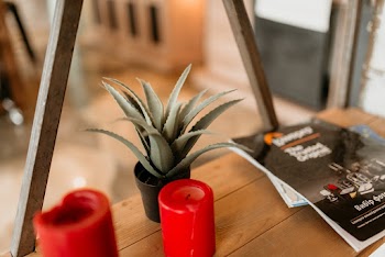 Two Red Candles Beside Plant in Pot