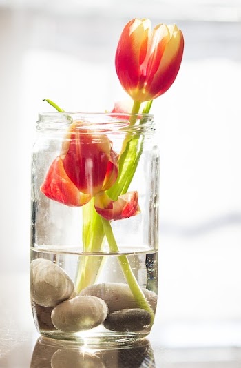 Two Red Flowers in of Glass Mason Jar