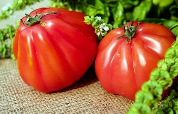 Two Red Orange Tomato Near Green Leaves