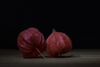 Two Red Physalis on Brown Surface