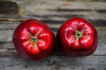 Two Red Ripe Apple on Gray Table