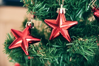 Two Red Star Baubles on Green Christmas Tree