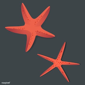 Two Red Starfish Vector Illustrarion | Free stock vector - 390585