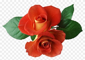 Two Roses Clipart - Two Roses Clipart