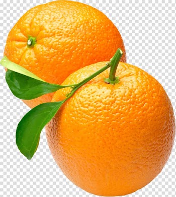 Two round orange fruits, Orange , Orange , free transparent background PNG clipart