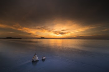 Two Sconce Shells at the Beach during Sunset