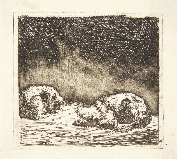 Two sheep | Free Photo - rawpixel