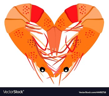 two shrimps lying in a shape of heart