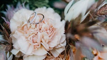 two silver-colored rings