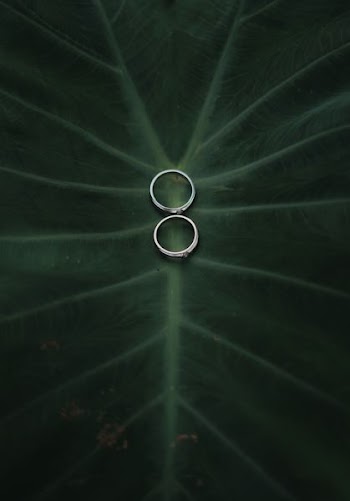 two silver-colored rings
