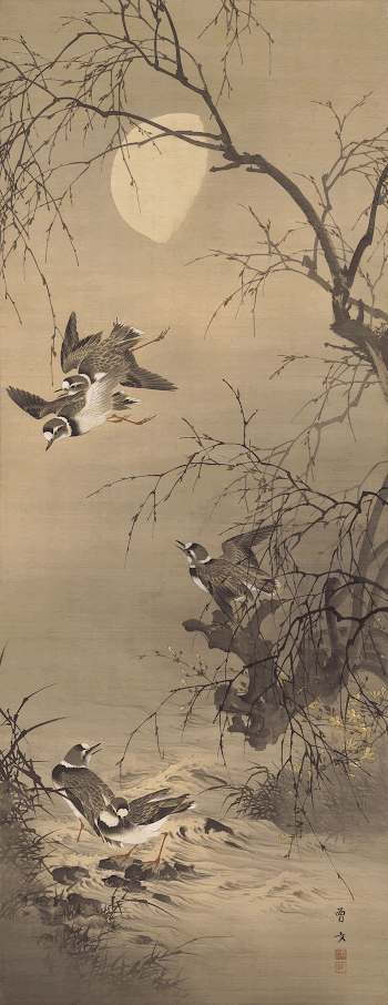two small birds diving in the air | Free Photo - rawpixel