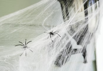Two Spiders on Web