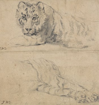 Two Studies of a Tiger; | Free Photo - rawpixel