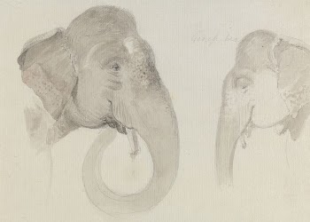Two Studies of an Indian | Free Photo - rawpixel