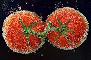 Two Tomatoes Illustration