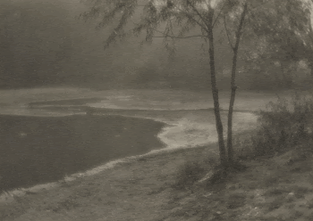 two-trunked small tree at water's | Free Photo - rawpixel