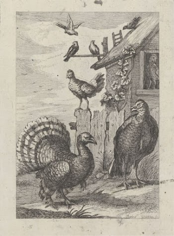 Two Turkeys, two hens and | Free Photo - rawpixel