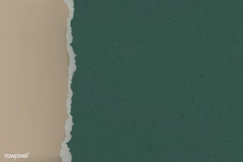 Two types of paper backgrounds | Free stock vector - 584388