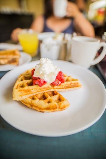Two Waffle Slices On White Plate
