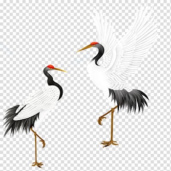 Two white-and-black birds art illustration, Red-crowned crane Bird Grey crowned crane, White Crane transparent background PNG clipart