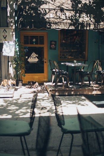 Two White and Black Puppies in Front of Brown Wooden Door